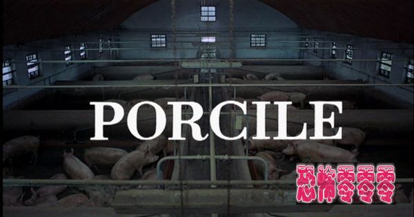 猪圈Porcile(1969)